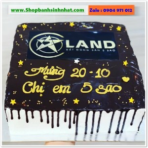 Bánh Sinh Nhật Socola - S419